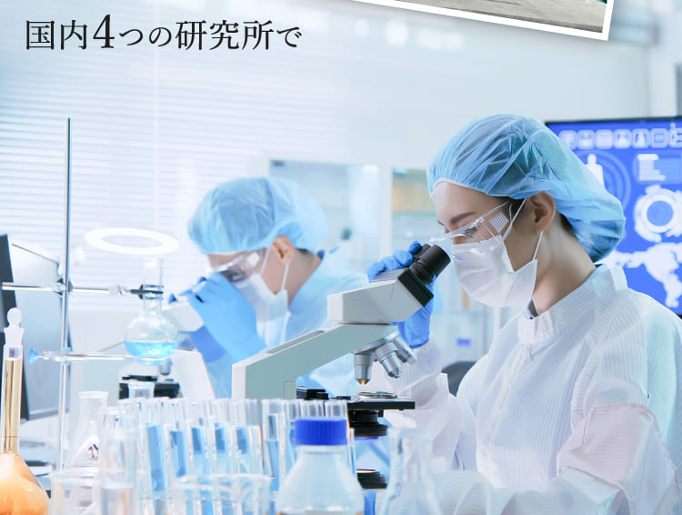 国内4つの研究所で