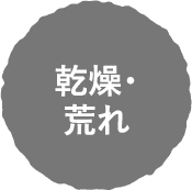 乾燥・荒れ