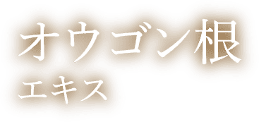 オウゴン根エキス