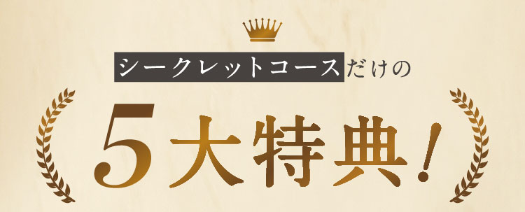 お得な6回お受け取り定期便だけの