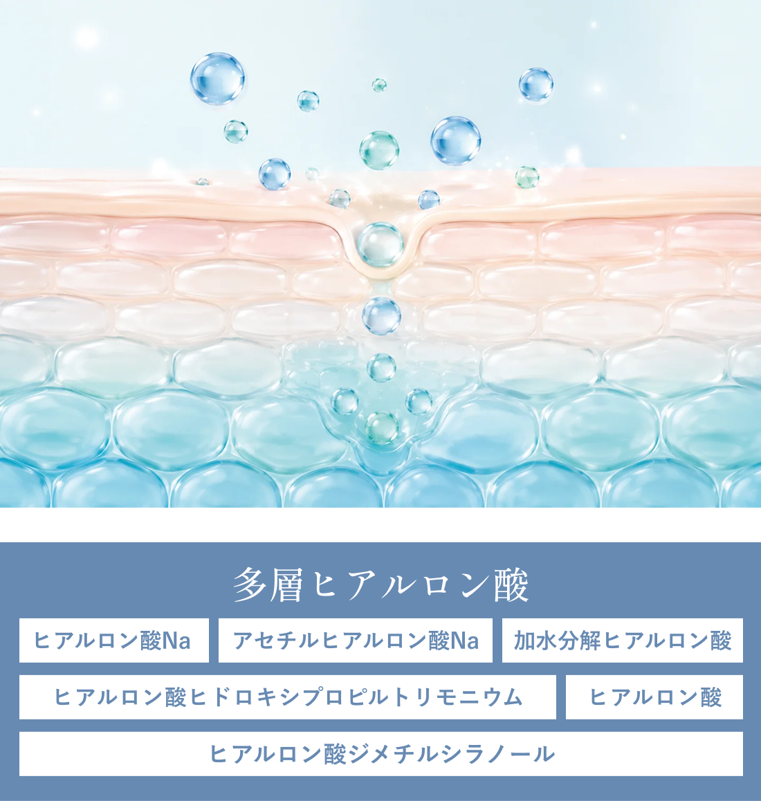 6種のヒアルロン酸<span><sup>※1</sup></span>を独自配合