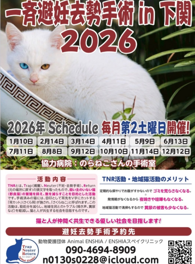 2026年 一斉避妊去勢手術 in 下関 スケジュール