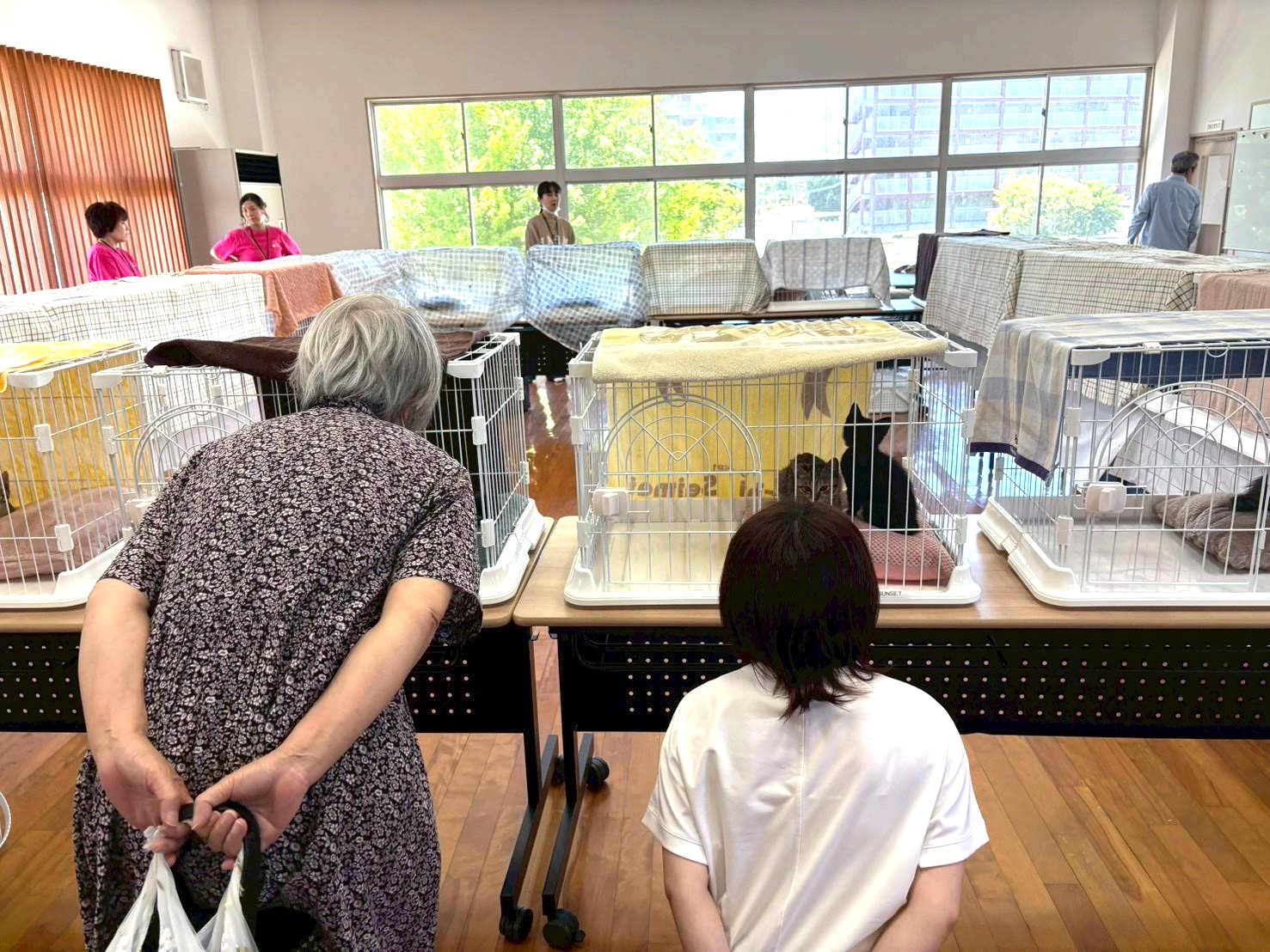 世代を越えて、同じ小さな命に見入る来場者