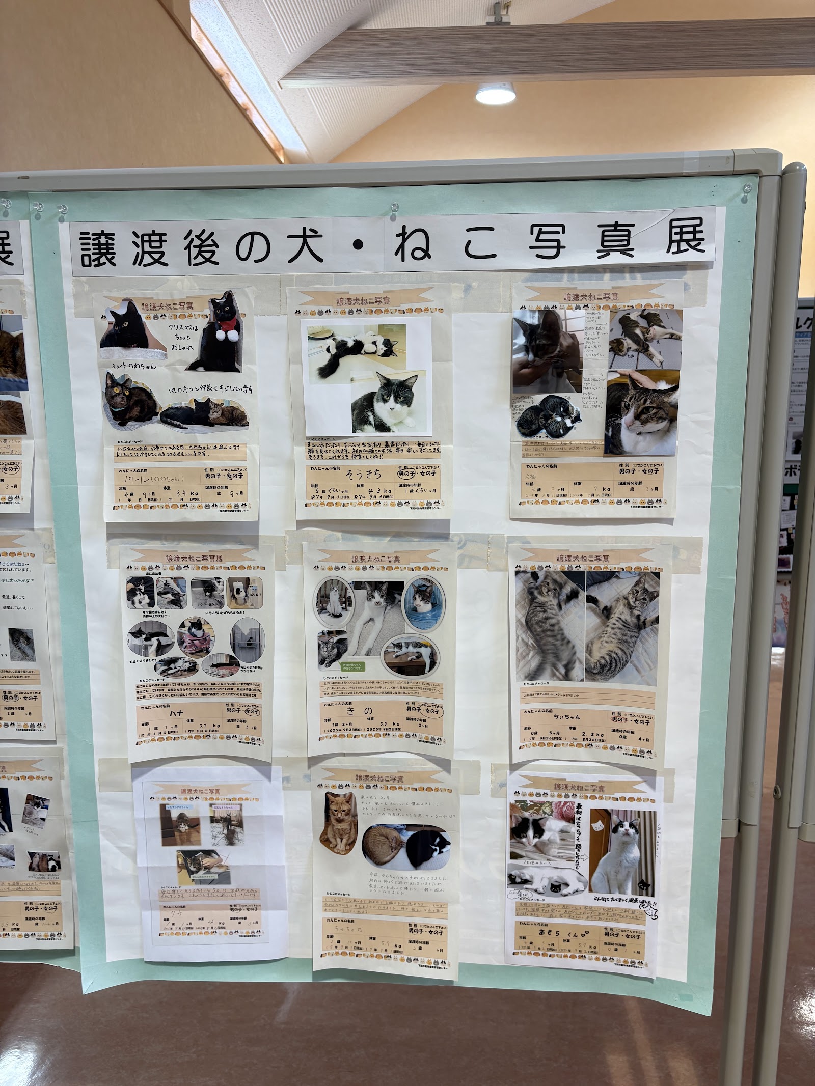 譲渡後の犬・ねこ写真展の掲示