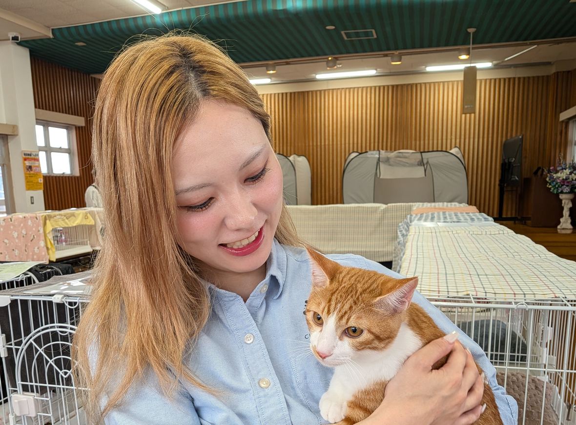 譲渡会の会場で茶白の保護猫を抱くチョイスジャパンのスタッフ