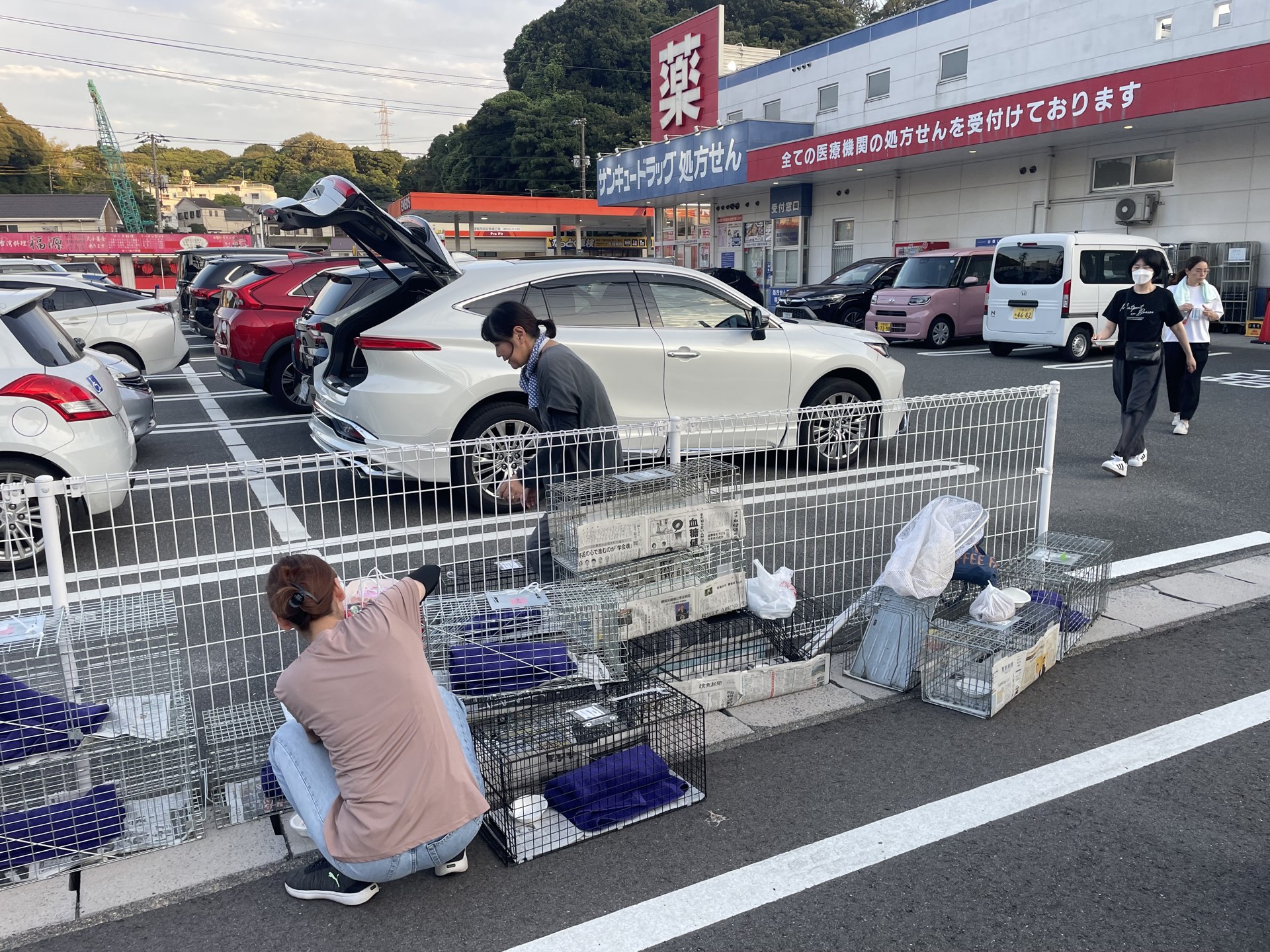 各ポイントに捕獲機を準備するボランティアの方々