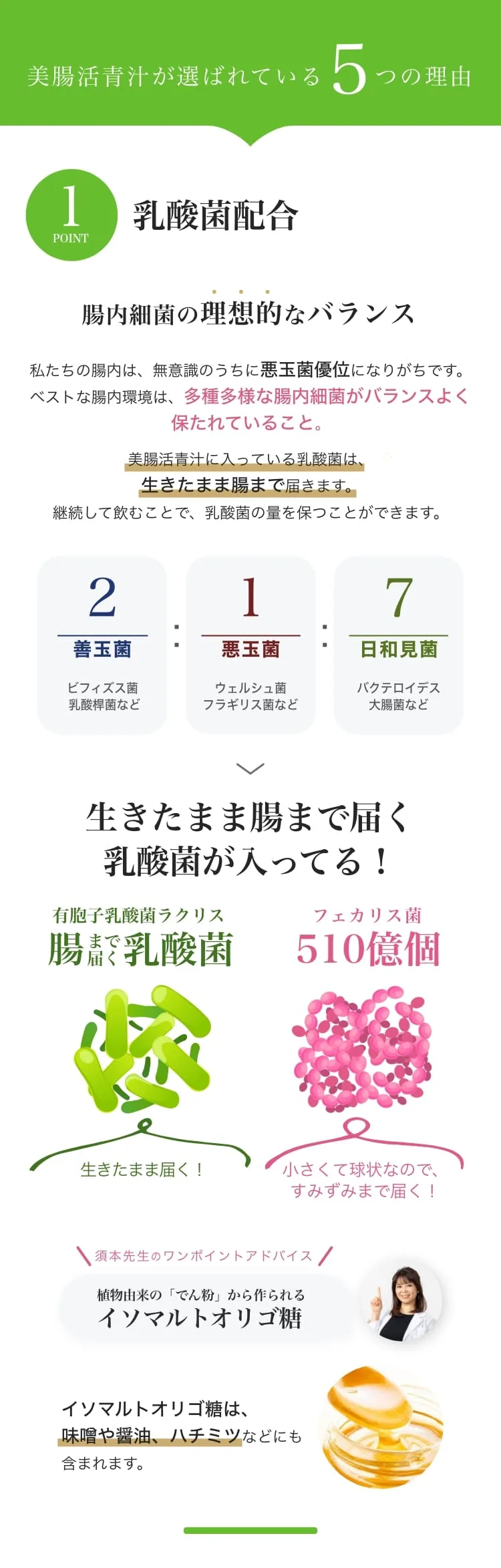 美腸活青汁が選ばれている5つの理由 POINT1 乳酸菌配合。腸内細菌の理想的なバランスは善玉菌2：悪玉菌1：日和見菌7。美腸活青汁の乳酸菌は生きたまま腸まで届く。有胞子乳酸菌ラクリスとフェカリス菌510億個を配合。
