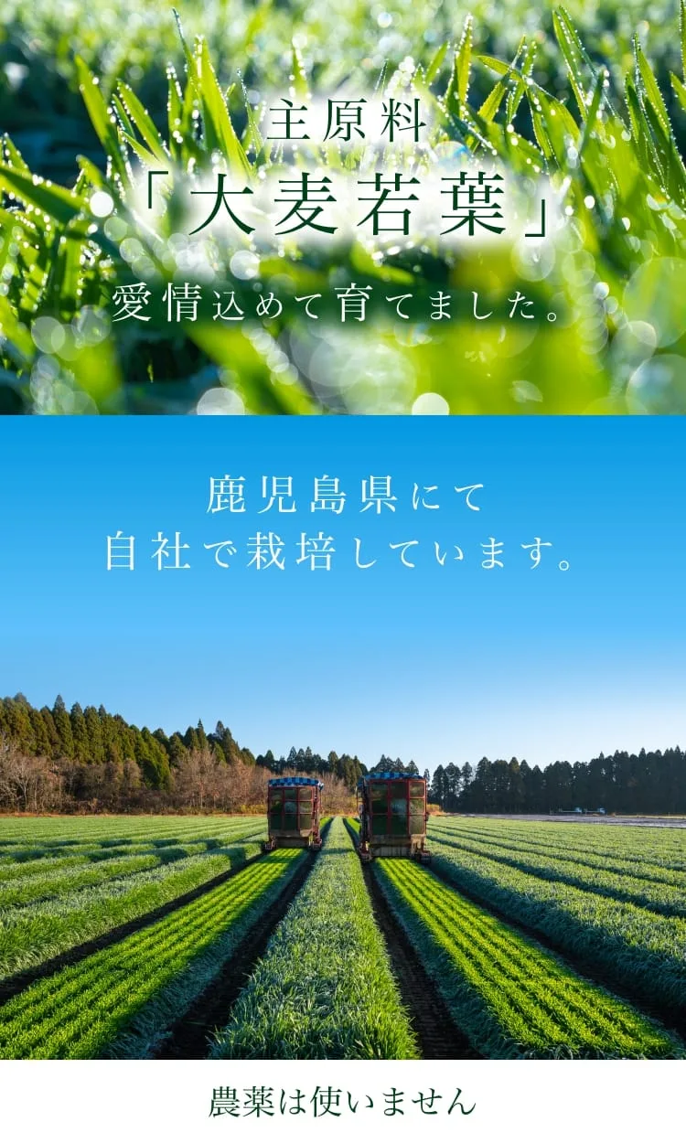 「美腸活青汁」愛飲者の声（続き）。40代女性・フルタイム勤務のワーママ。忙しい日々でも飲むだけでOKの美腸活青汁を続け、生活にハリが生まれた。九州の畑での収穫の様子。