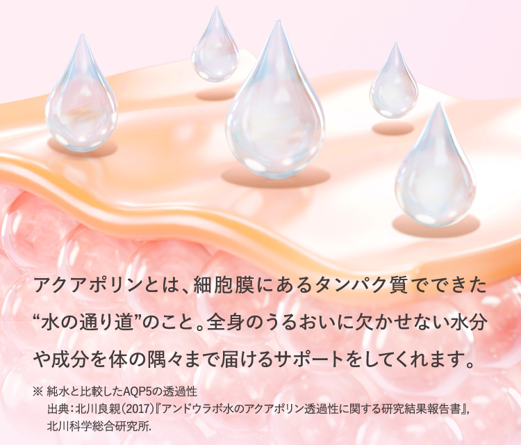 アクアポリンとは、細胞膜にあるタンパク質でできた“水の通り道”のこと