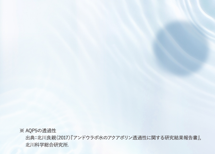 出典：北川良親（2017）『アンドウラボ水のアクアポリン透過性に関する研究結果報告書』,北川科学総合研究所.