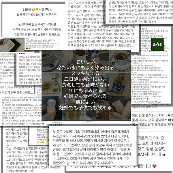 NATURIA 韓国美容茶 燃やすRED