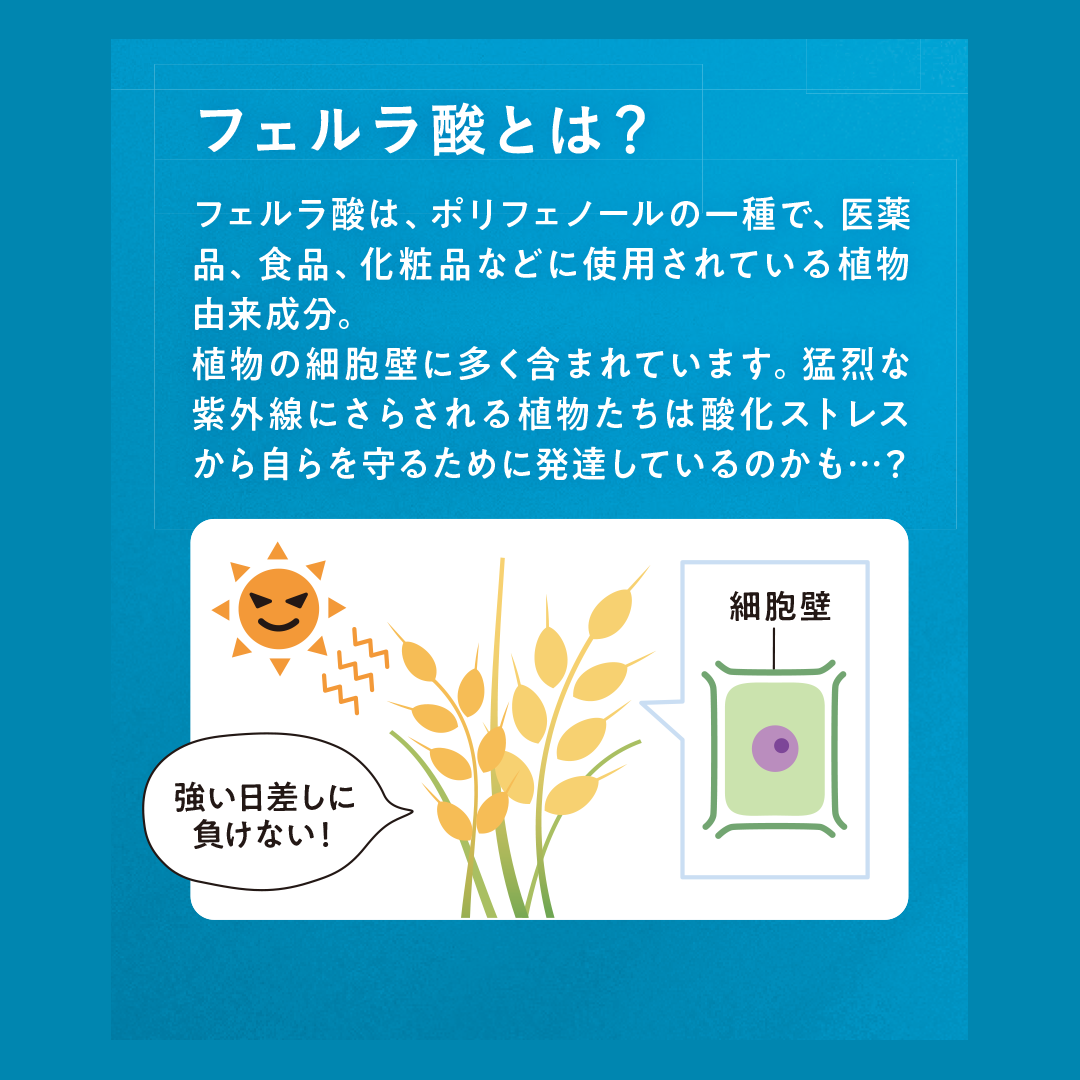 セラムライン FAセラム アドバンスド