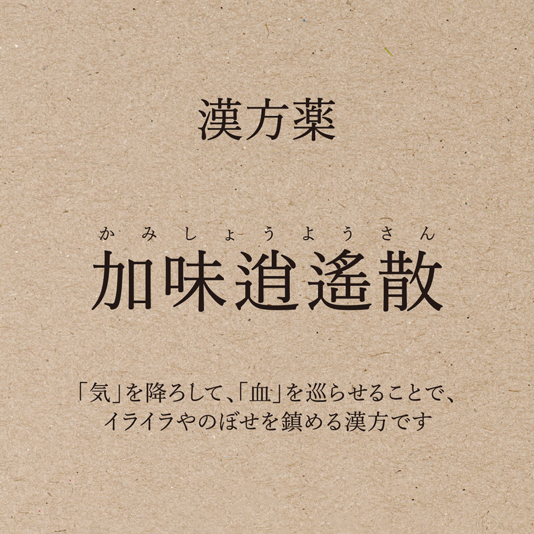 【店舗限定 単品】加味逍遙散（かみしょうようさん）＜第２類医薬品＞　　