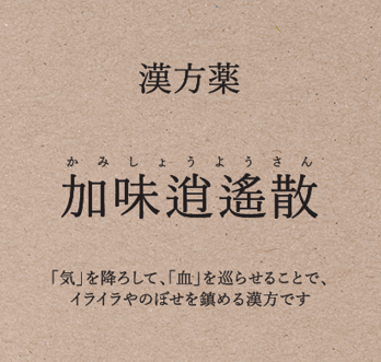 【店舗限定 定期便】加味逍遙散（かみしょうようさん）＜第２類医薬品＞　　