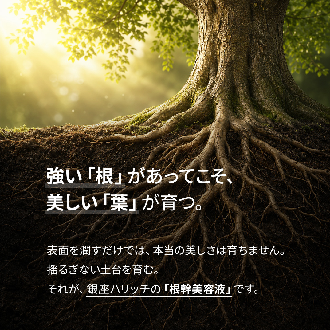 【定期便】ハリッチプレミアムリッチプラス