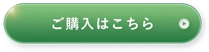 ご購入はこちら