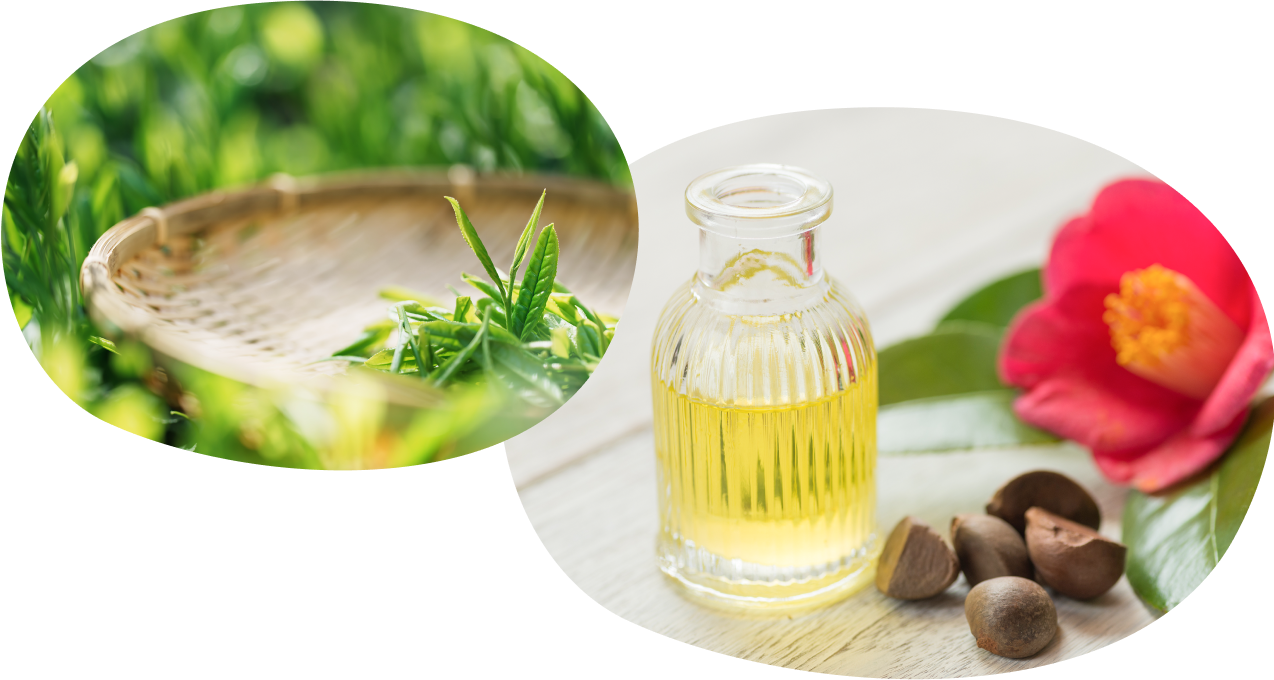 画像：椿と椿オイル