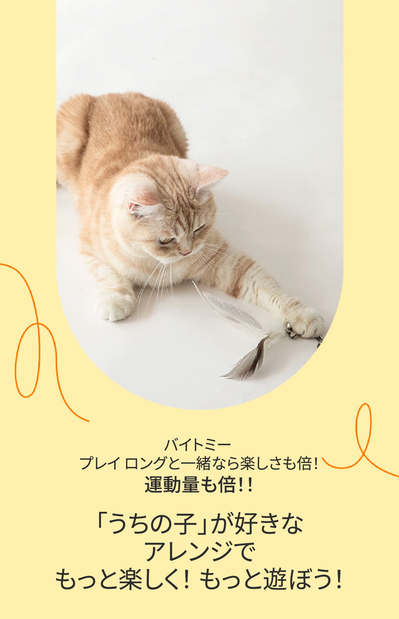 【ハル猫】ことりのあそびば This Cat Coos Like a Pigeon When You Pet It… Too Cute to