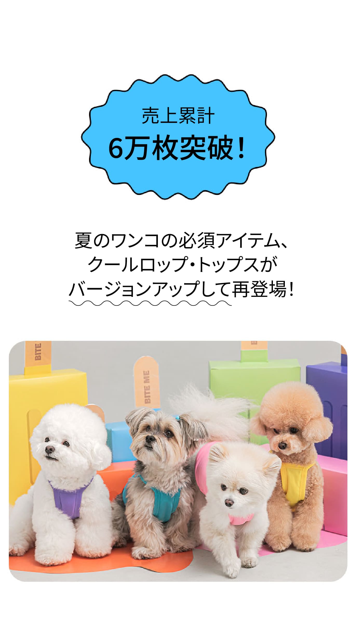 kota&chie　1104545側面通気穴無しワンタッチロック天板金網コ kota&chie様専用 1104545側面通気穴無しワンタッチロック天板金網コ