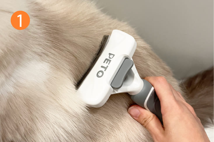お手入れ用品が全部揃う］長毛用グルーミング5点セット 犬 猫 抜け毛が