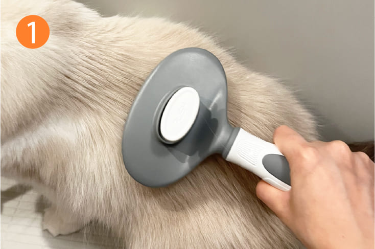 お手入れ用品が全部揃う］長毛用グルーミング5点セット 犬 猫 抜け毛が
