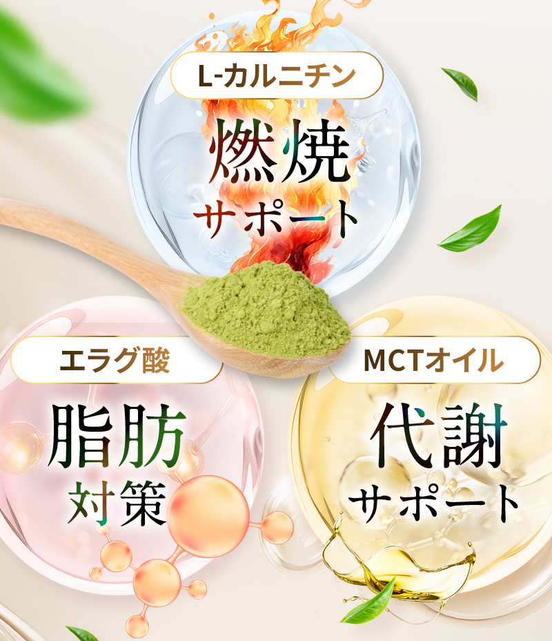 L-カルチニンで燃焼サポート エラグ酸で脂肪対策 MCTオイルで代謝サポート