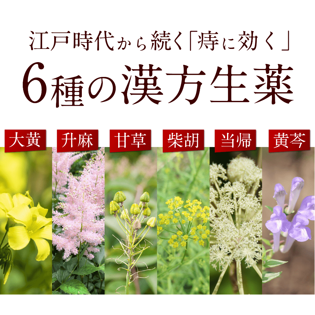 【ピーチラック乙字湯（1箱63包）】