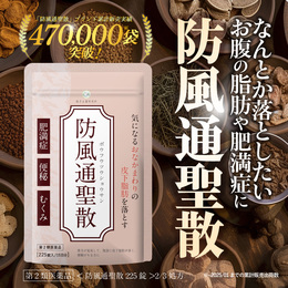★【防風通聖散（1袋225錠）】通常購入税込5100円