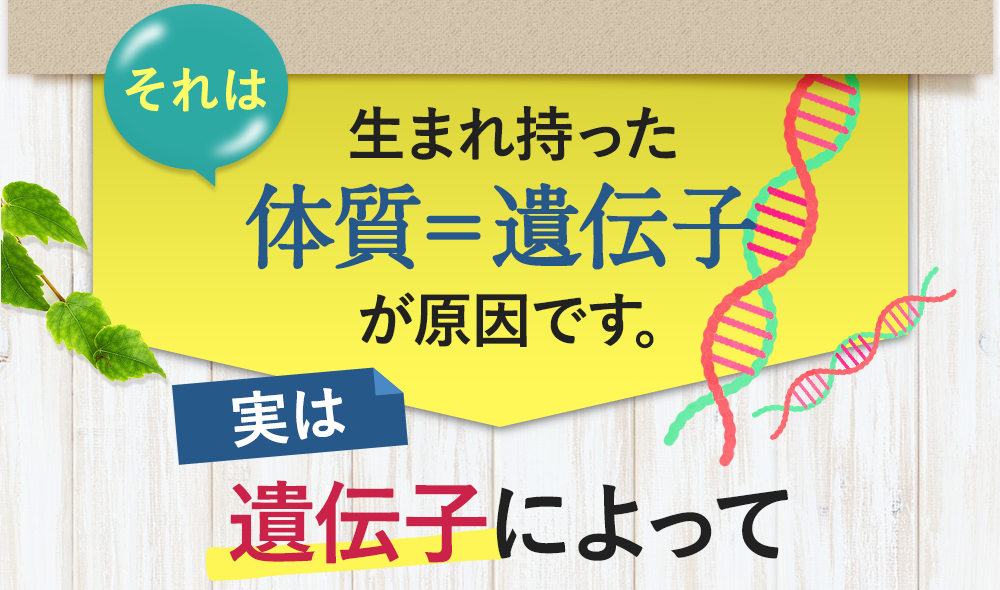 それは生まれ持った体質＝遺伝子が原因です。