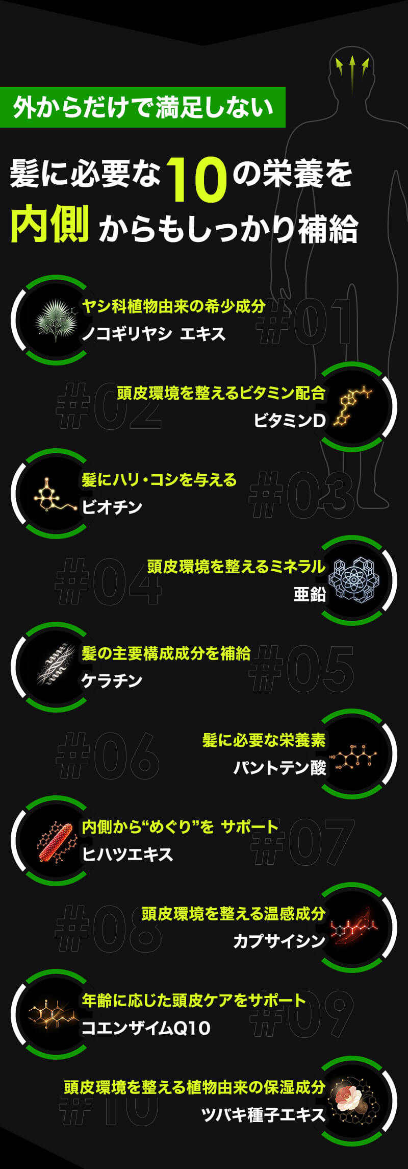 髪に必要な10の栄養を内側から補給