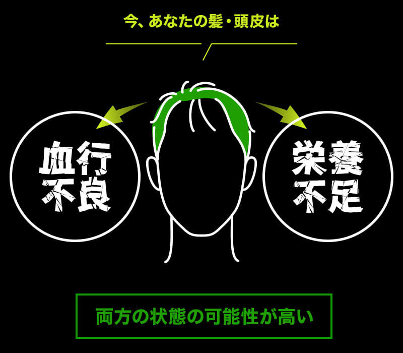 今、あなたの髪頭皮は「血行不良」「栄養不足」両方の状態