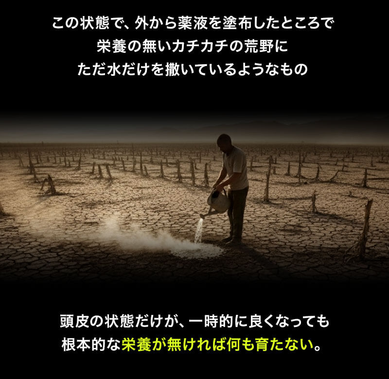 栄養が無ければ何も育たない。