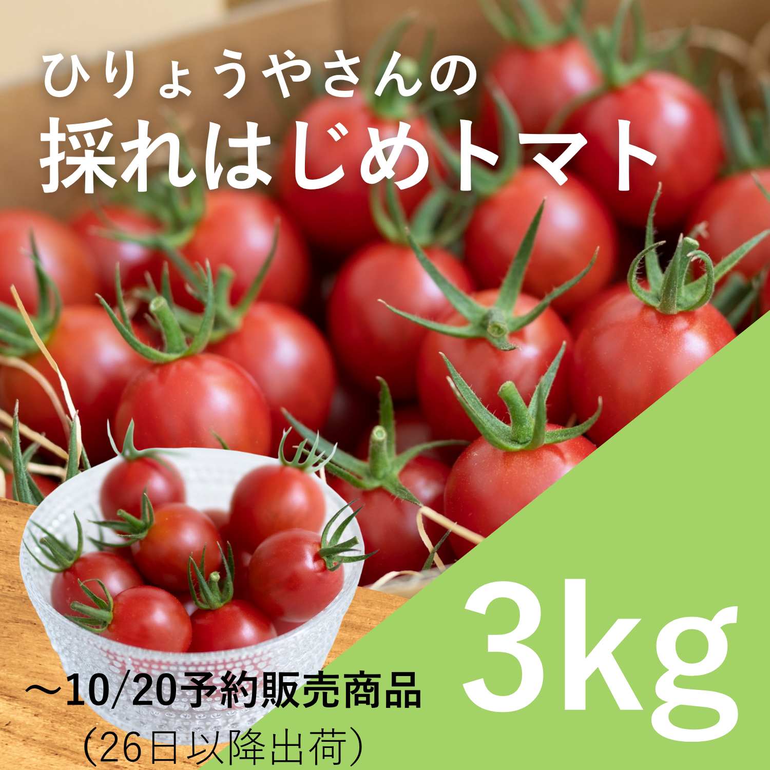 採れはじめトマト 3kg × 1箱