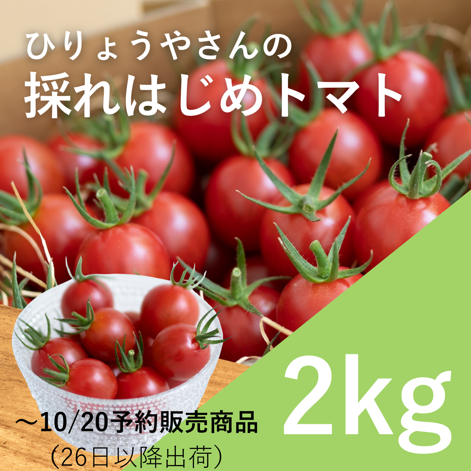 採れはじめトマト 2kg （1kg×2箱）
