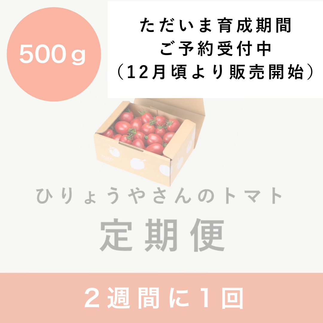 【隔週定期便】 ひりょうやさんのトマト 500g