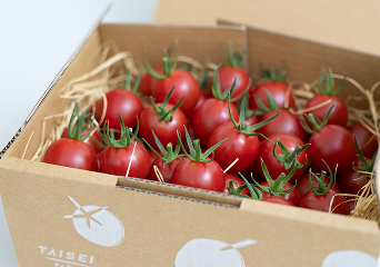 ひりょうやさんのトマト 1㎏ × 1箱