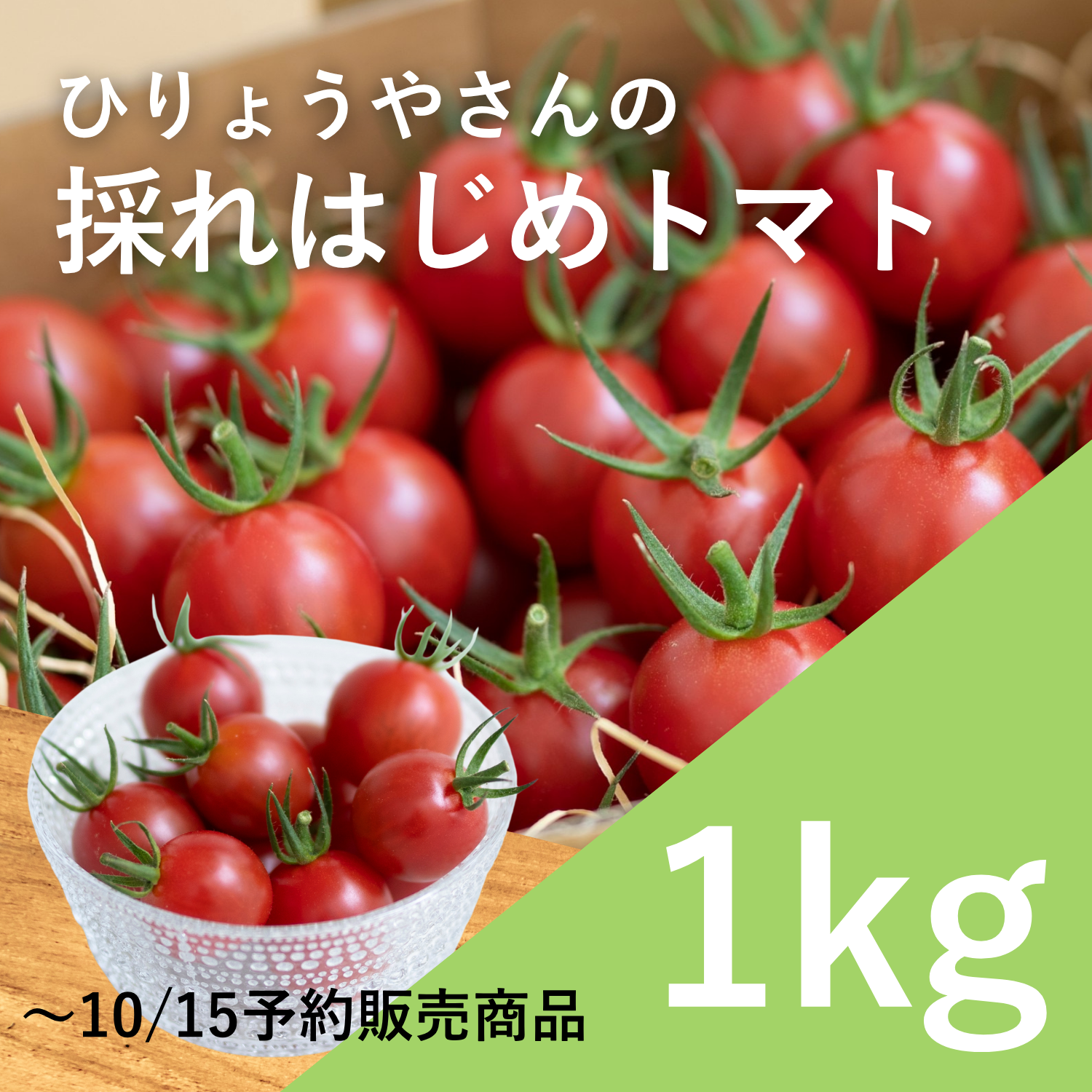 採れはじめトマト 1kg × 1箱