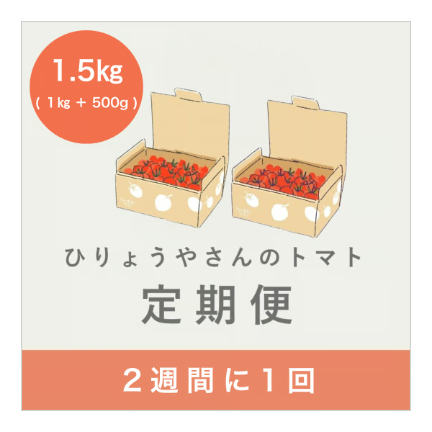 【隔週定期便】ひりょうやさんのトマト 1.5㎏