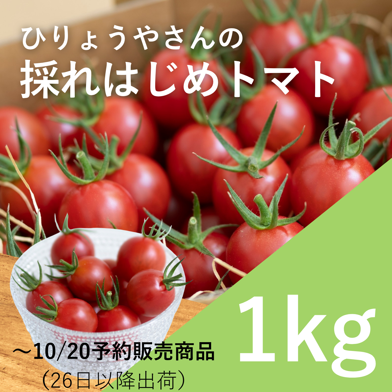 採れはじめトマト 1kg × 1箱