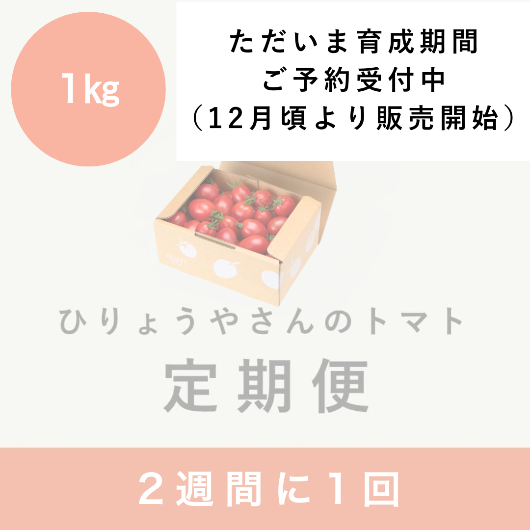 【隔週定期便】ひりょうやさんのトマト １㎏