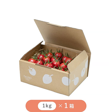 ひりょうやさんのトマト 1㎏ × 1箱