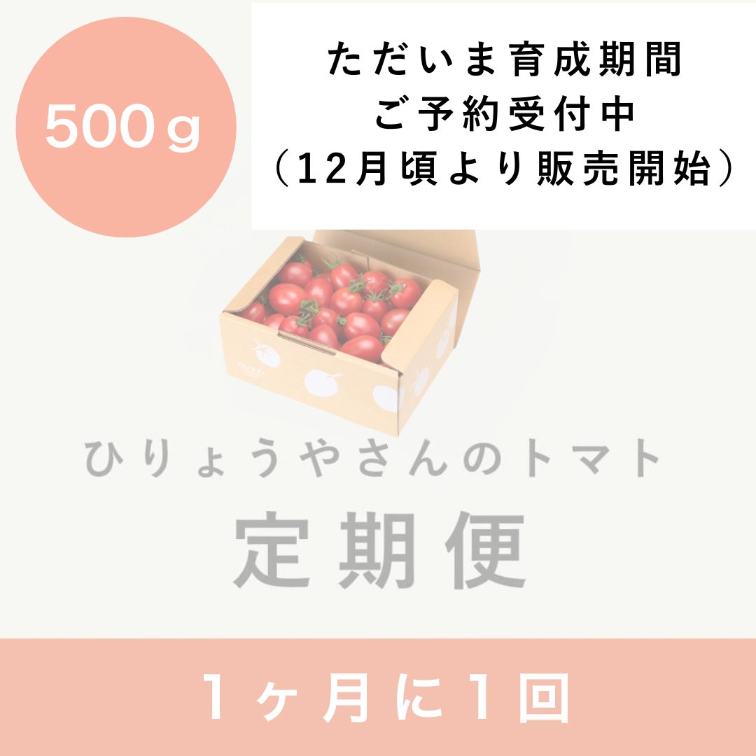 【毎月定期便】  ひりょうやさんのトマト 500g