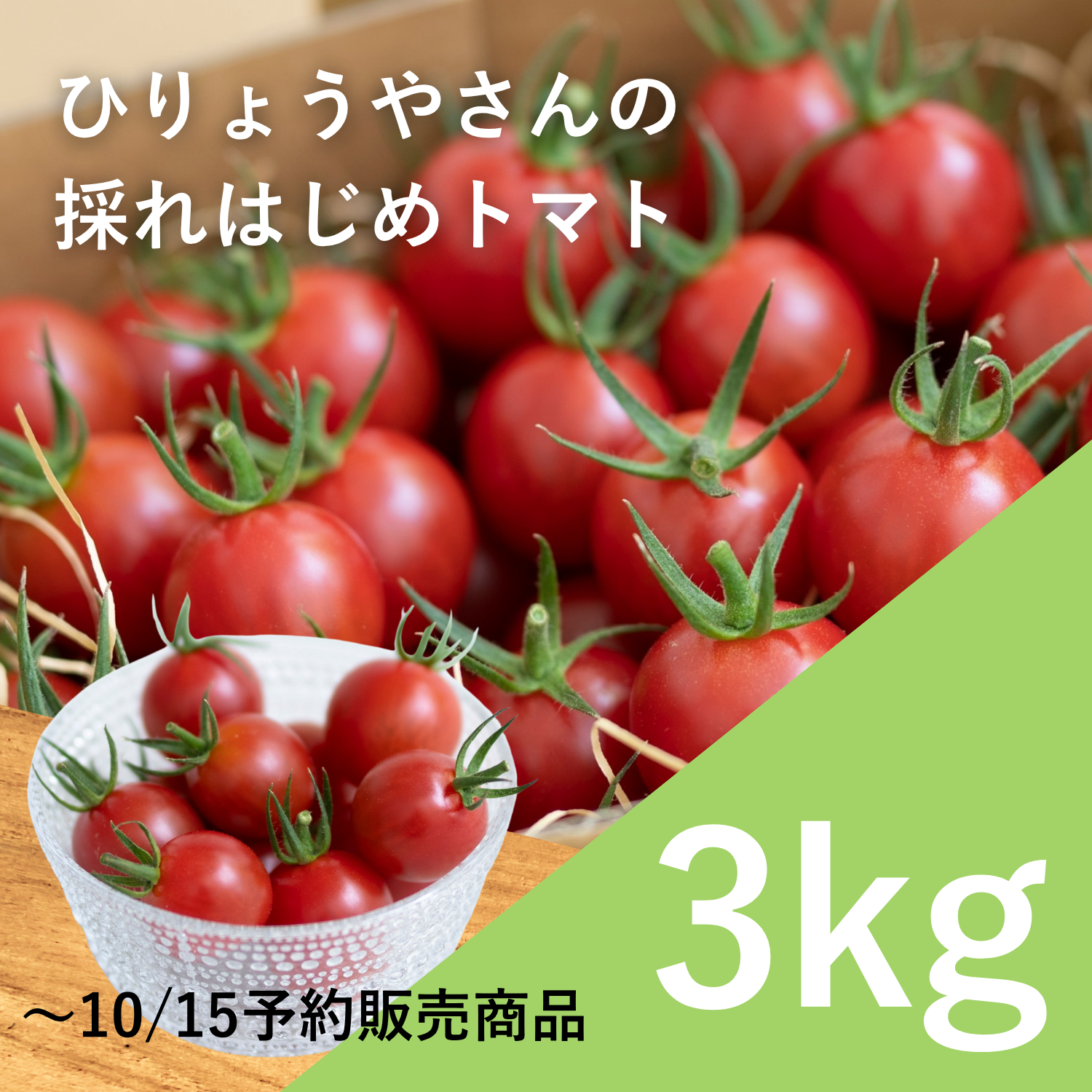 採れはじめトマト 3kg × 1箱