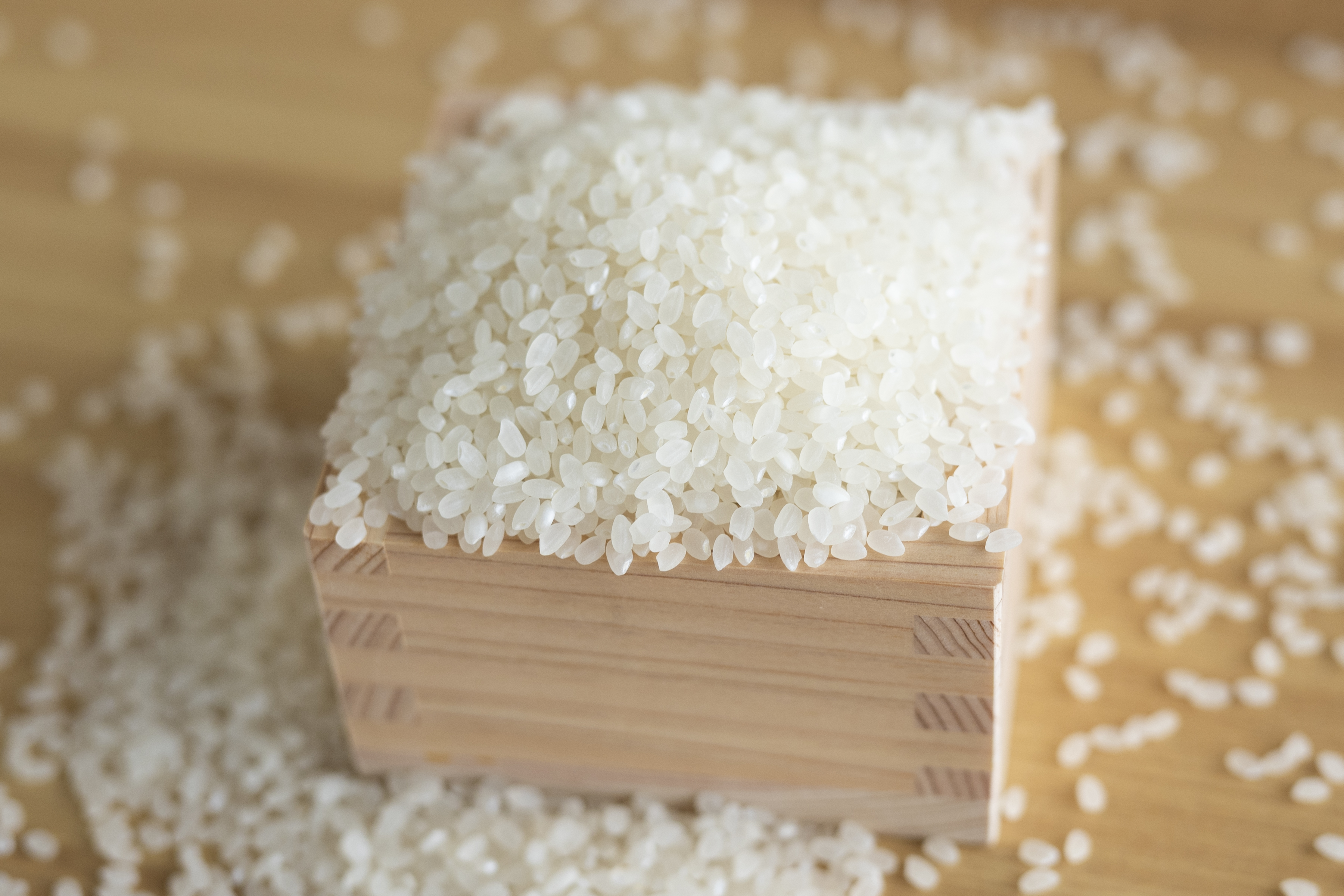 数量限定【コシヒカリ】ひりょうやさんのひと粒5kg