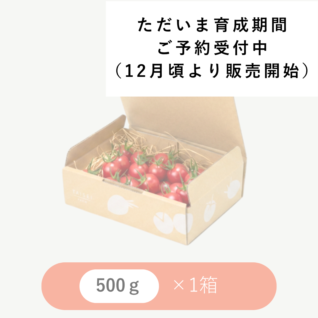 ひりょうやさんのトマト 500g × 1箱