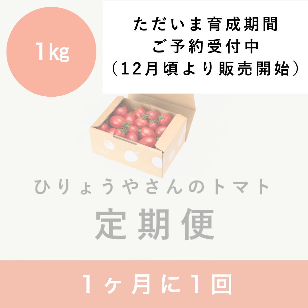 【毎月定期便】  ひりょうやさんのトマト １㎏