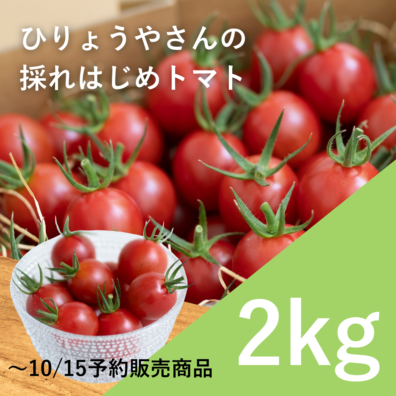 採れはじめトマト 2kg × 1箱