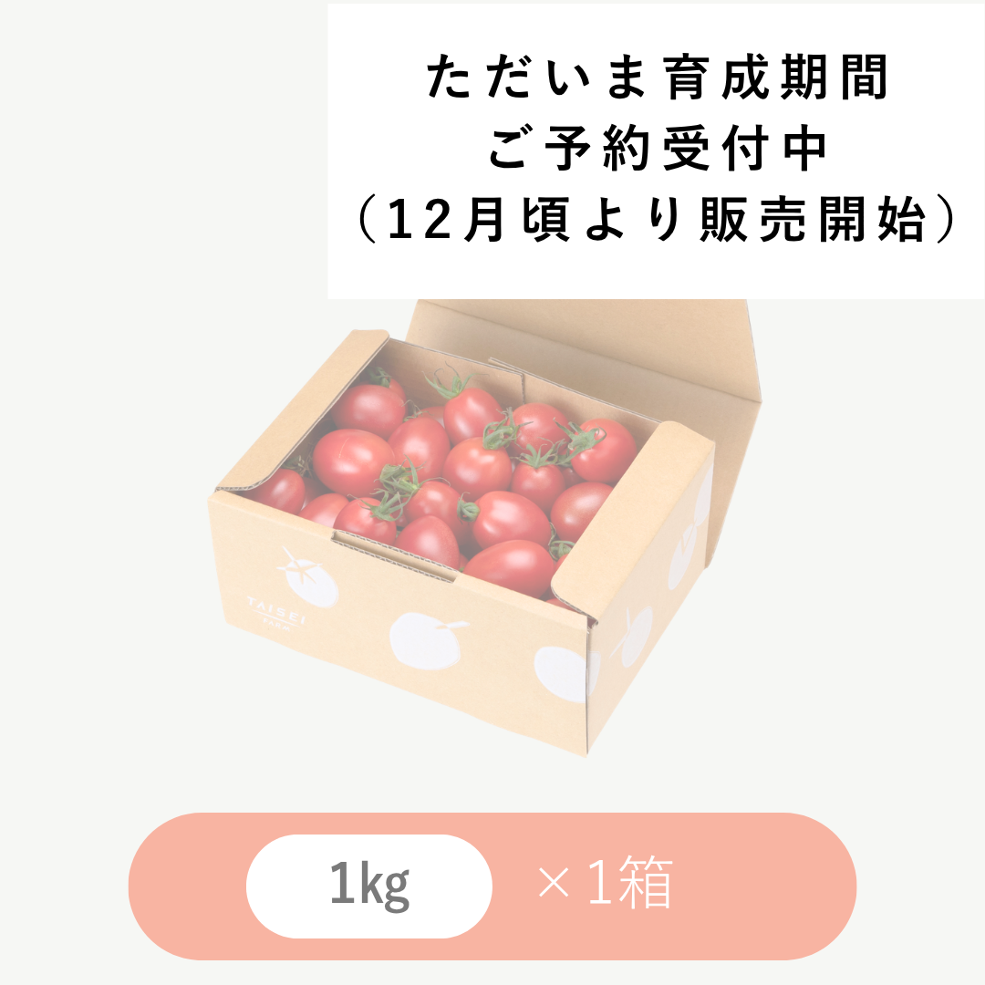 ひりょうやさんのトマト 1㎏ × 1箱
