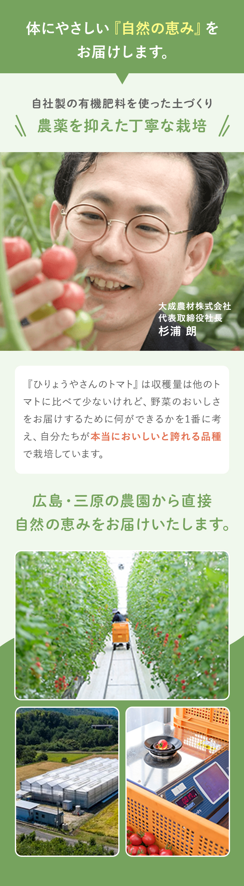 大成農材について特徴