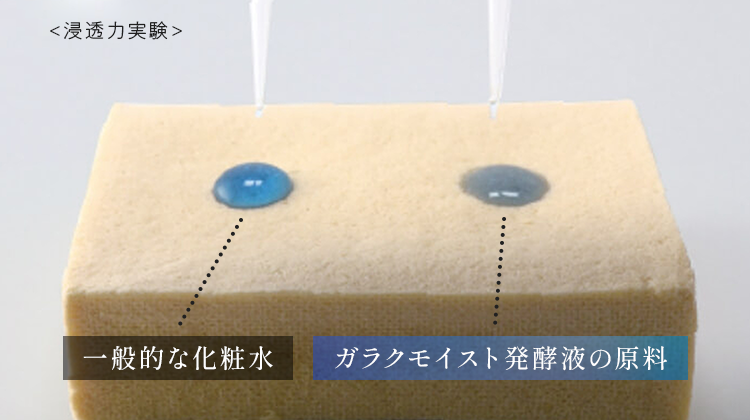 浸透力実験